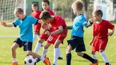 电竞体育竞猜平台 资讯 141626 s39