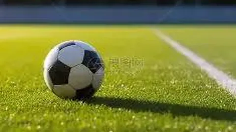 电竞体育竞猜平台 产品 141930 jy1